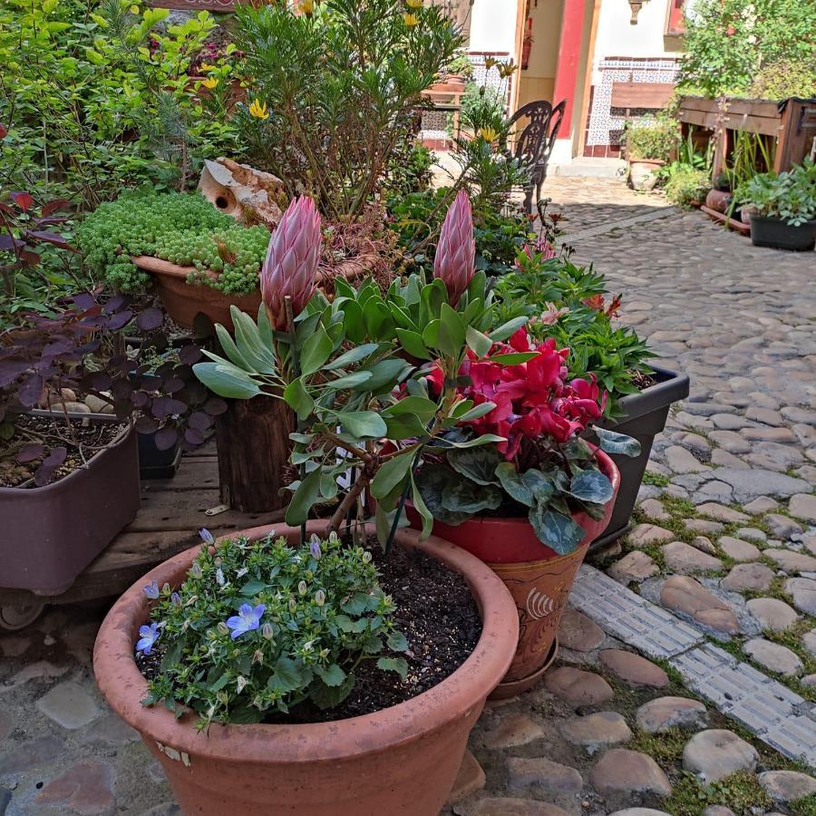 Hostal Castilla Aranjuez Extérieur photo